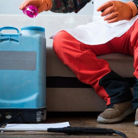 Professional pest control technician preparing a spray tank inside a Dubai home