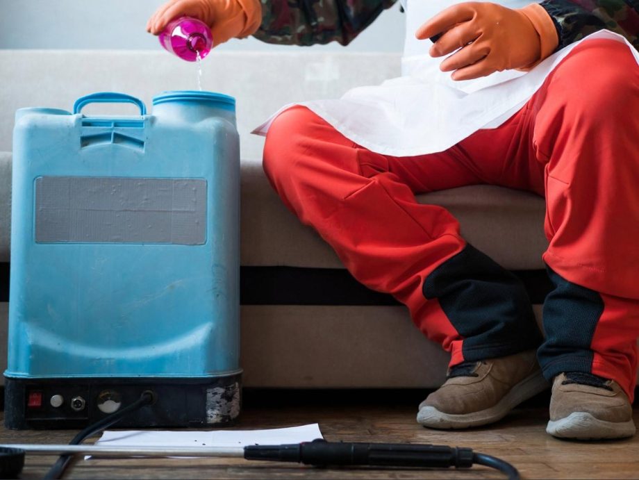 Professional pest control technician preparing a spray tank inside a Dubai home